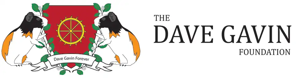 Dave Gavin Logo